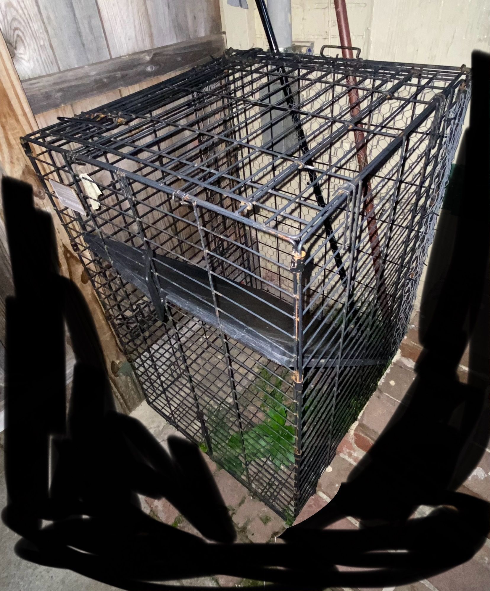 Dog Crate