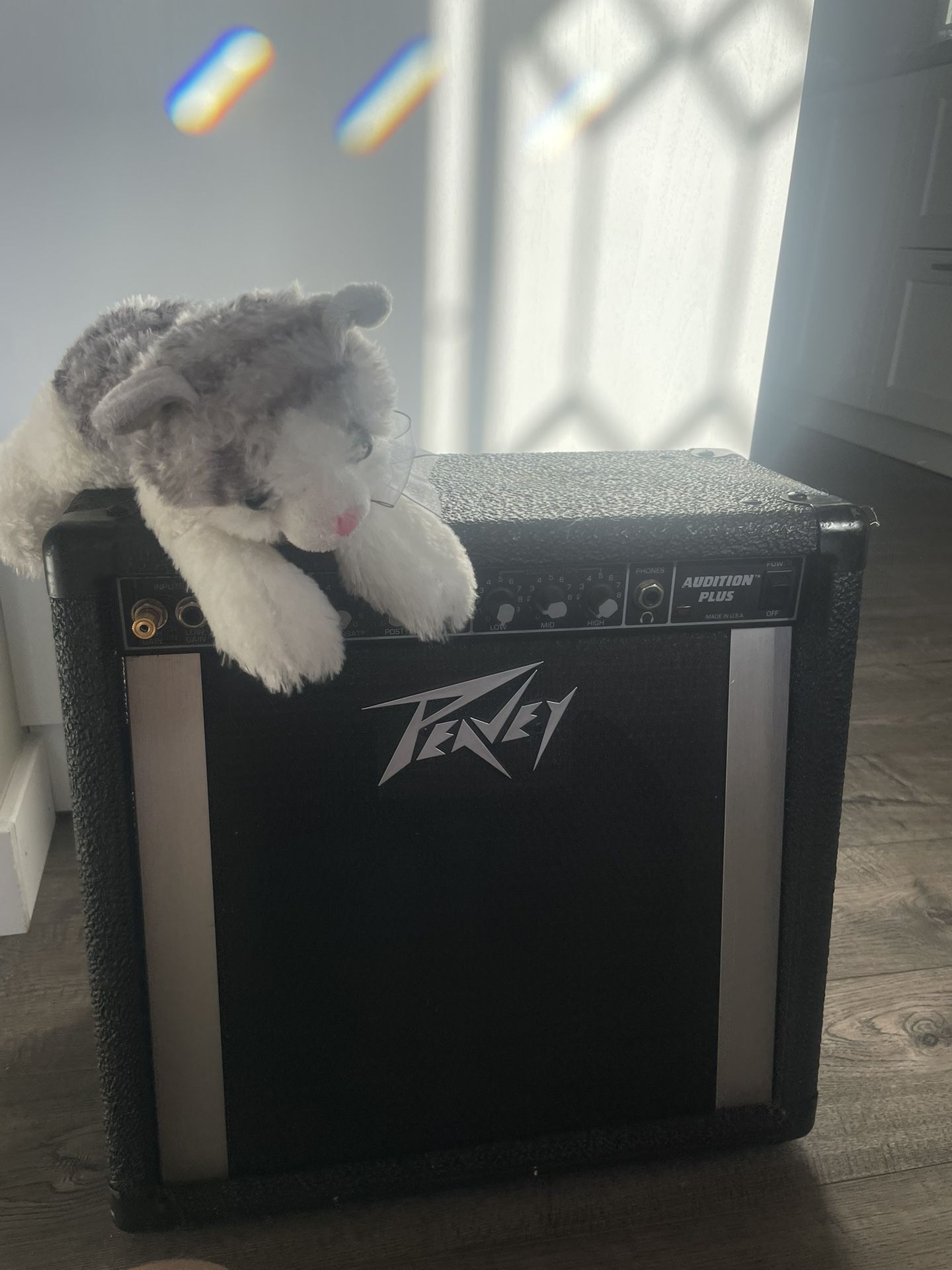 Peavy Amplifier Audition Plus