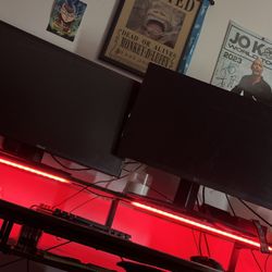 2 Gaming Monitors 