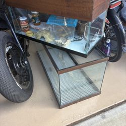 Fish Tanks 