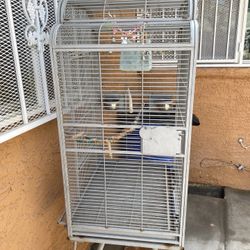 Bird Cage 