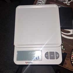 Digital Scale