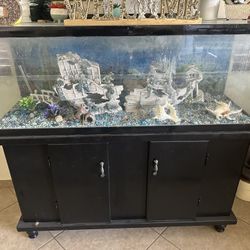 Fish Tank 