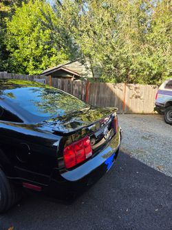Mustang pony package 2007
