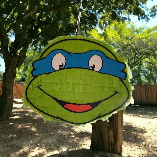 Ninja Turtles Pinata