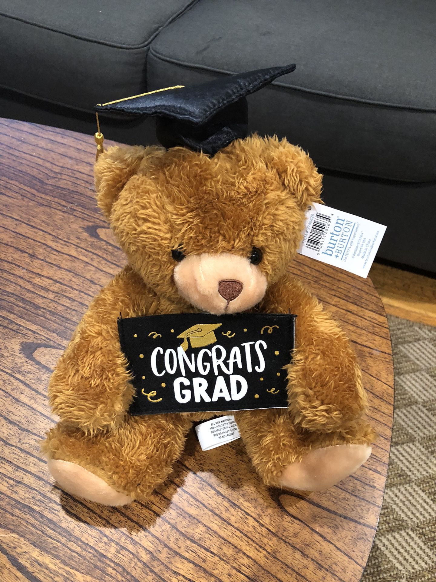 Adorable Graduation Teddy Bear