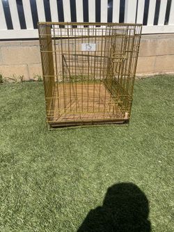 Got Kennels Available