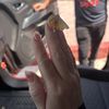 Sabí 664