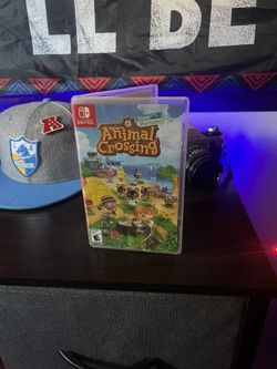 Animal Crossing Game