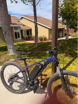 Bafang trek Roscoe 6 mid drive