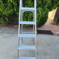 6 FT Louisville Ladder
