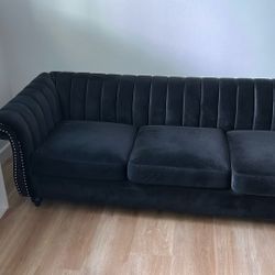 Black Velvet Color Couch