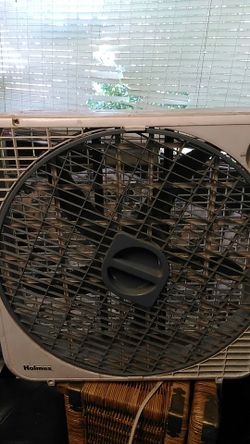 Fan