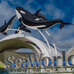 Seaworld Tickets