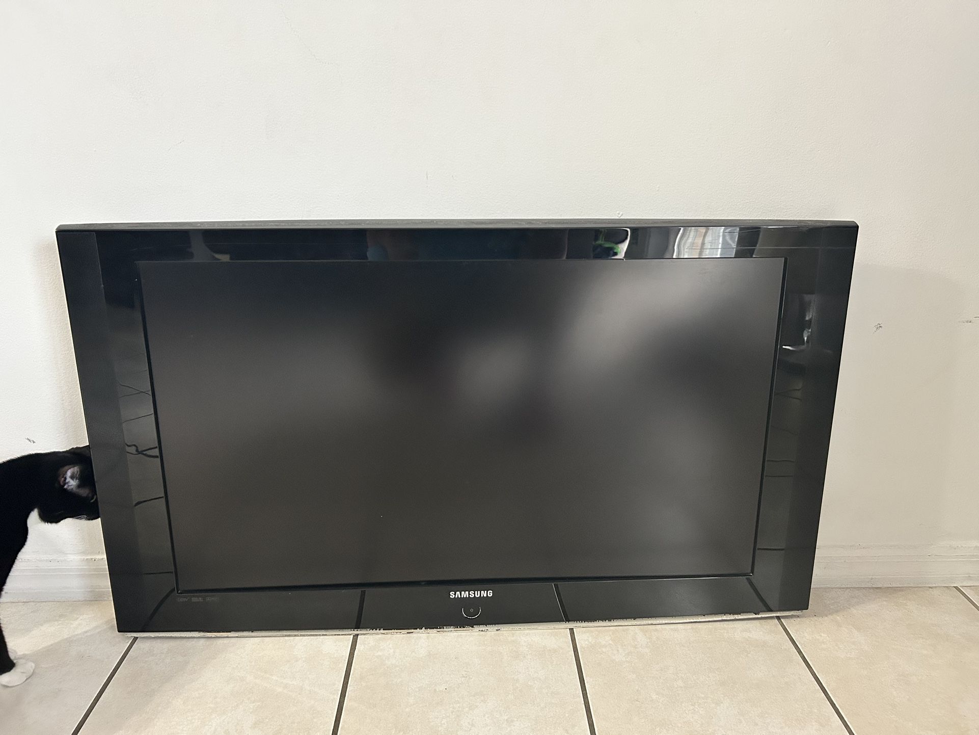 Old Samsung 40in Screen-TV