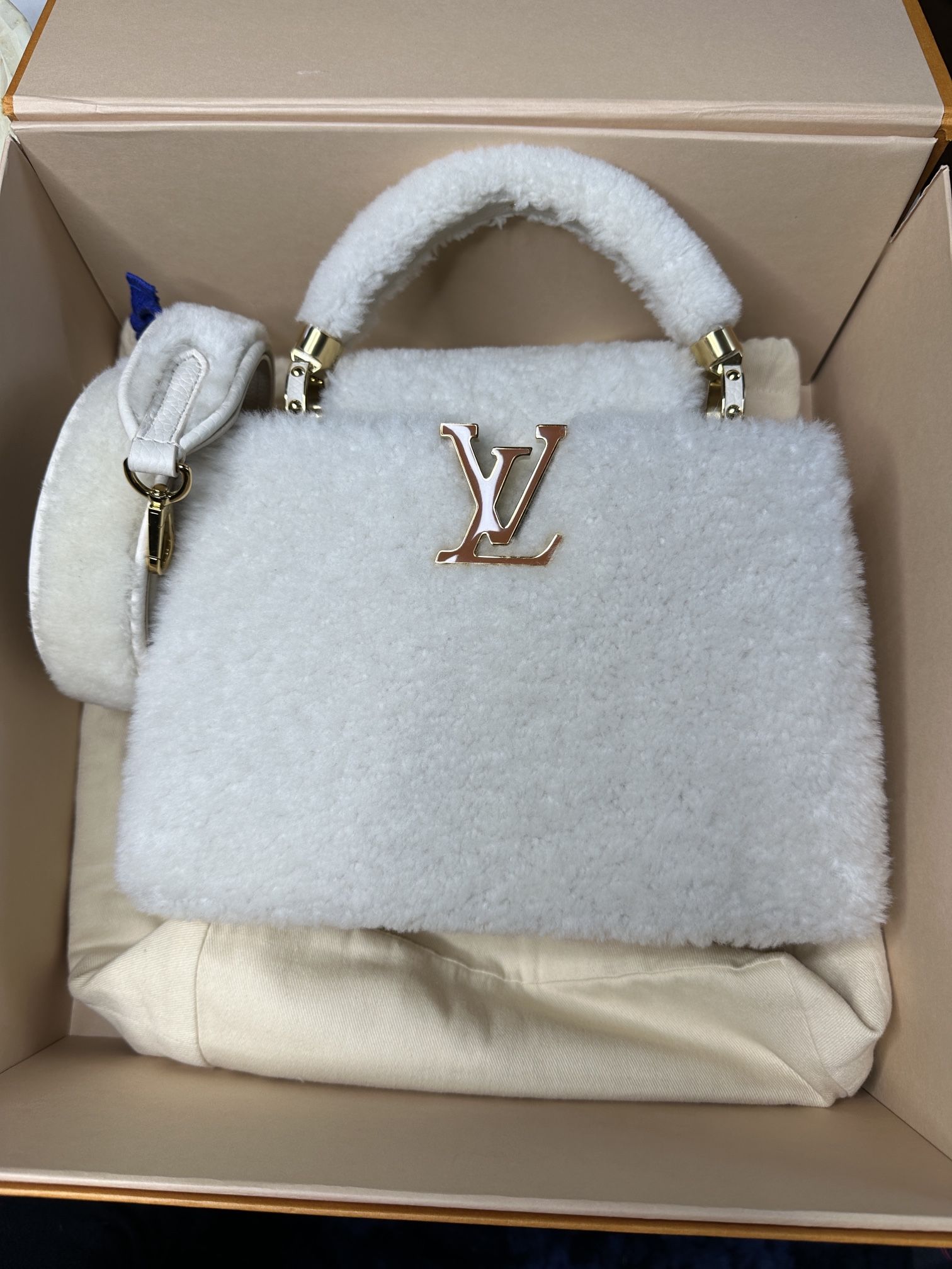 Louis Vuitton Capucines BB Lady’s Bag