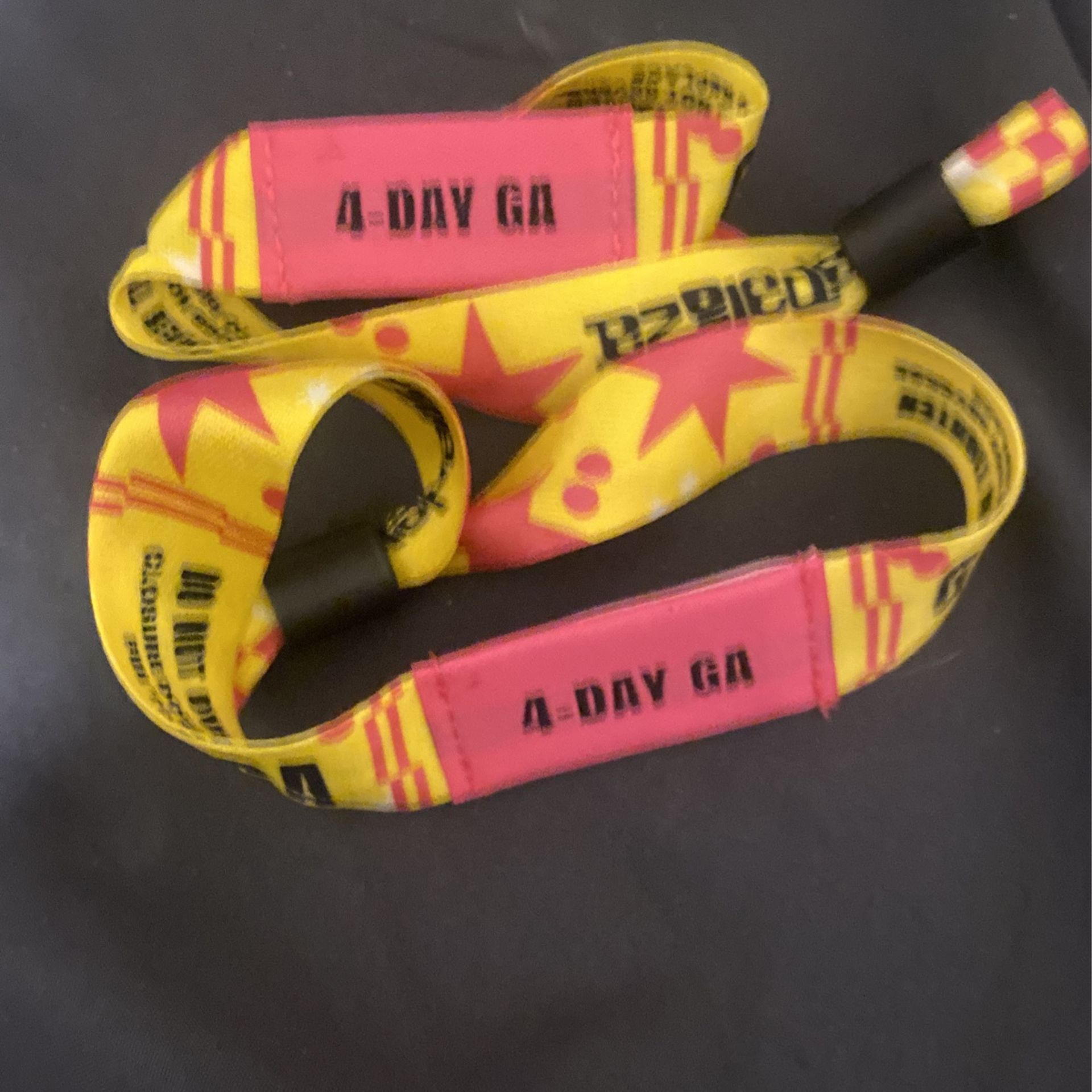Two 4Day GA Lollapalooza Tickets