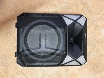 Pioneer party speaker