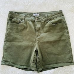 Bleu Women’s Green Shorts Size 16