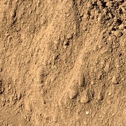 Free Fill Dirt