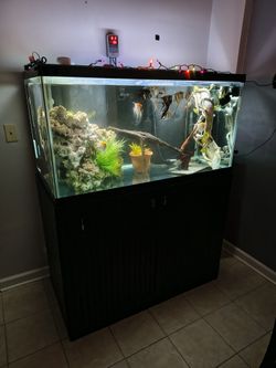 120 G Fish Tank Setup