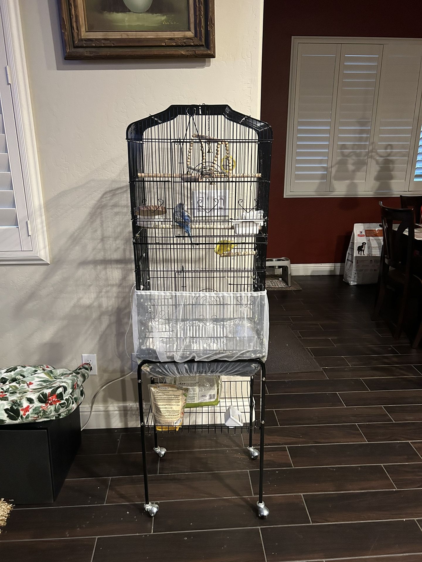 Parakeets & Bird Cage