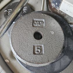 Workout Bench And Weights