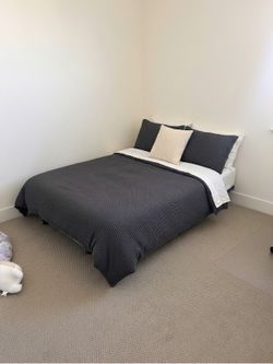 IKEA Sofa Cum Bed - Grey