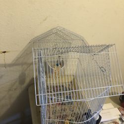 bird cage