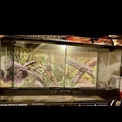 New reptile tank