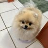Nan