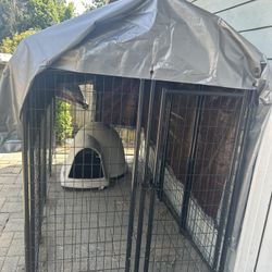 Dog Run And House