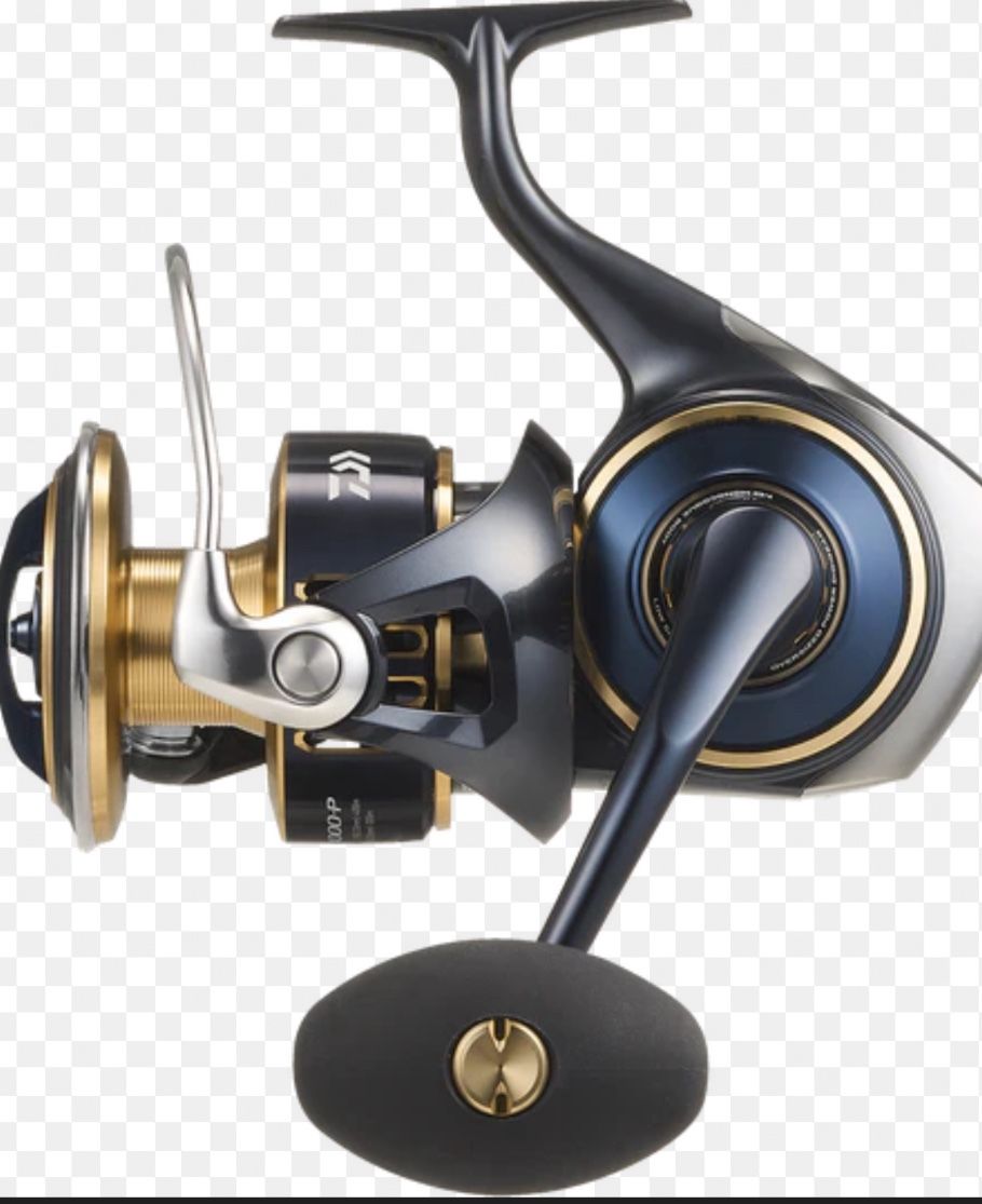 Fishing Reels