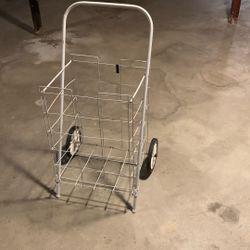 Groceries Transfer Cart