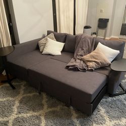Ikea Friheten Sleeper Sofa Couch