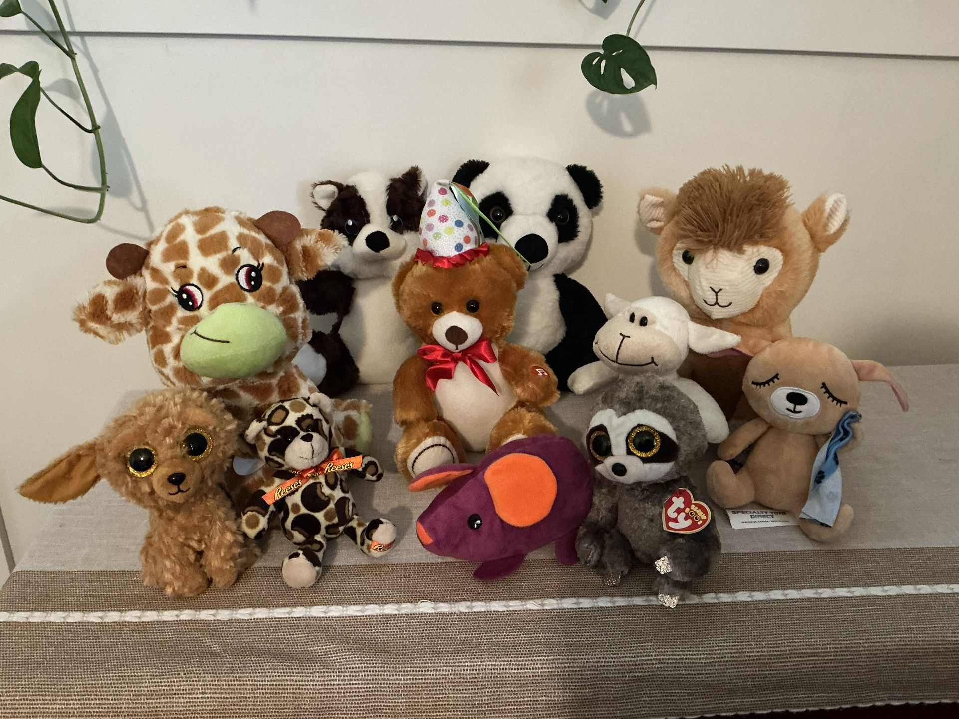Stuffed Animal Lot