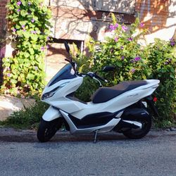Scooter Trade