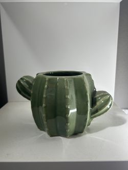 Cactus Plant Holder