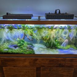 75 Gallon Aquarium / Fish Tank 