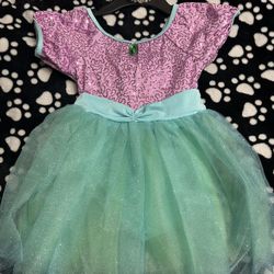 Ariel Theme Dance Costume