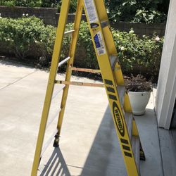 Werner 6’ Ladder