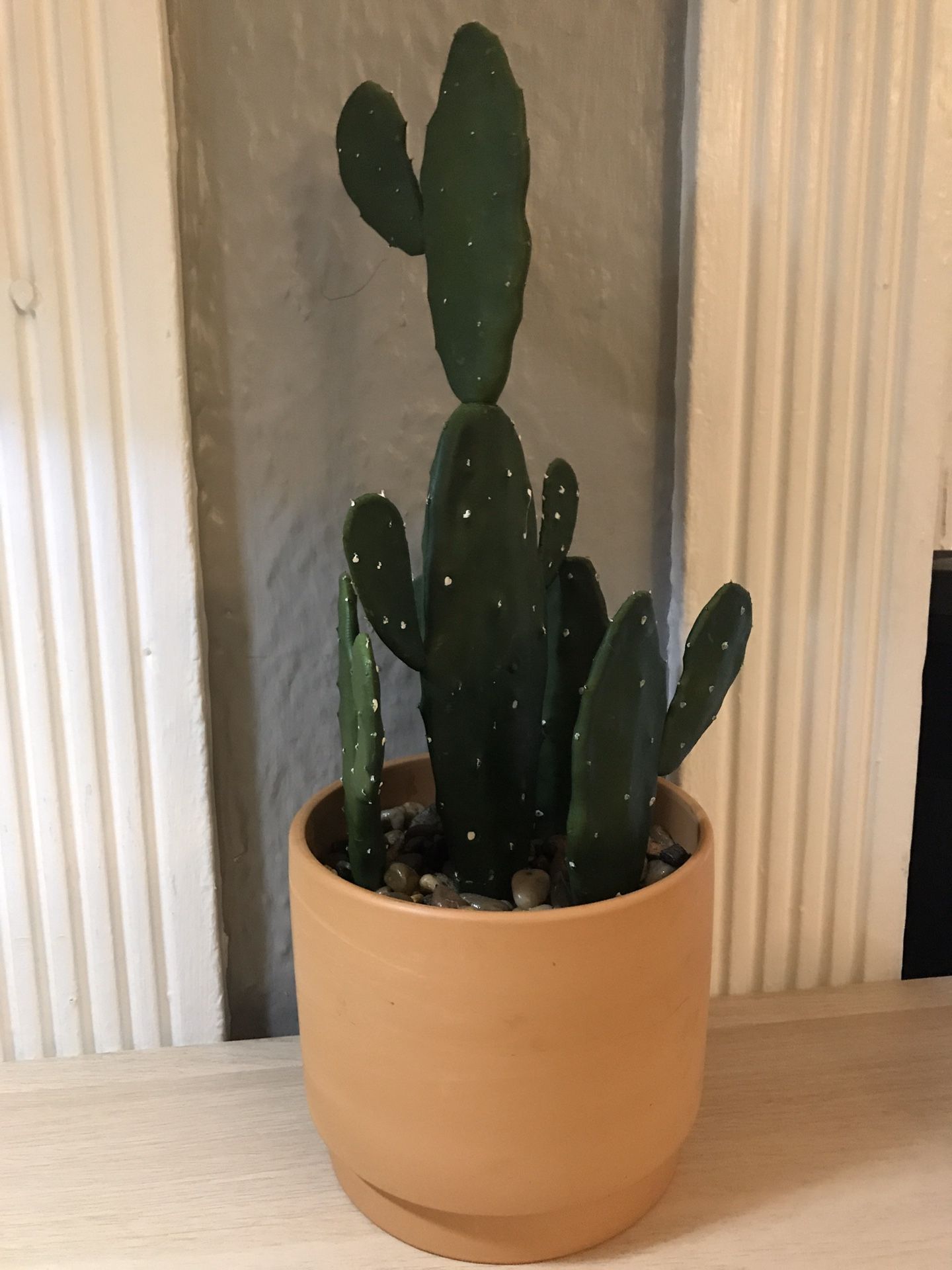 Fake cactus plant