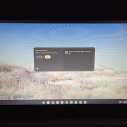 Acer Chromebook Laptop