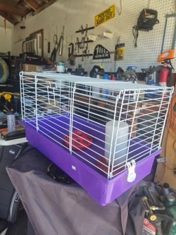 Animal cage