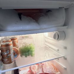 Mini Fridge 