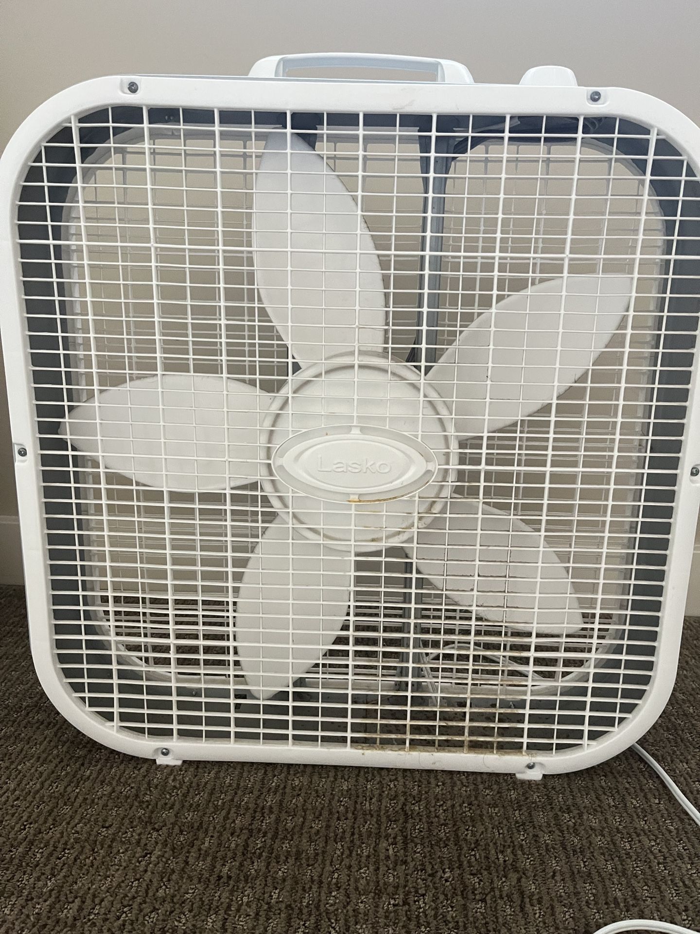 Fan