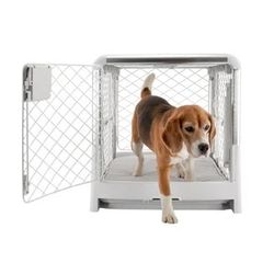 Diggs Revol Collapsible Dog Crate and Pad Set, Medium, Light Gray