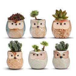 New  2.5 Inch Owl Ceramic Succulent Planter Pots with Drainage Hole Set of 6, Small Cute Flower Pots Plant Holder Container Best for Home Office Garde