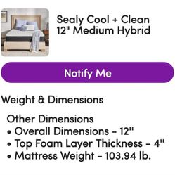 Sealy Twin XL Mattress For Sale