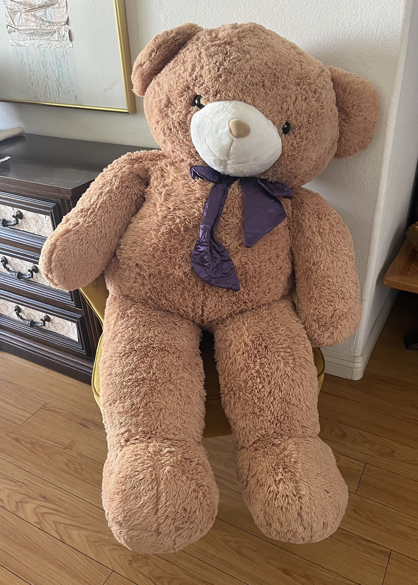 Costco Teddy Bear Needs New Home 